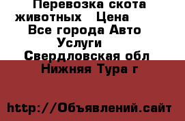 Перевозка скота животных › Цена ­ 39 - Все города Авто » Услуги   . Свердловская обл.,Нижняя Тура г.